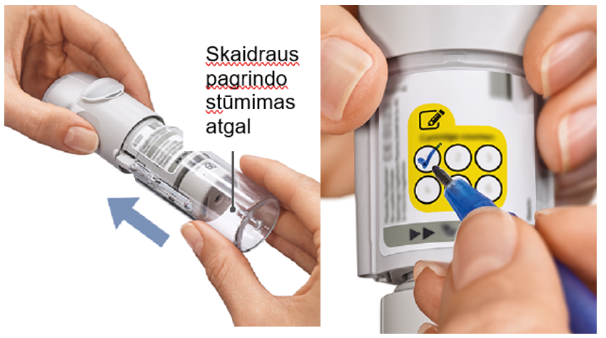 Užtaiso žymėjimas ir skaidraus pagrindo stūmimas atgal